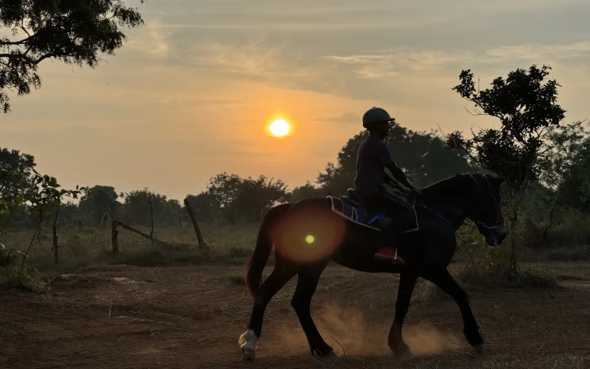 Horse riding at Vonfidel Ranch, next door