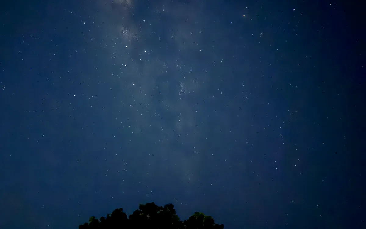 The Milky Way above a tree line, photographed on a phone